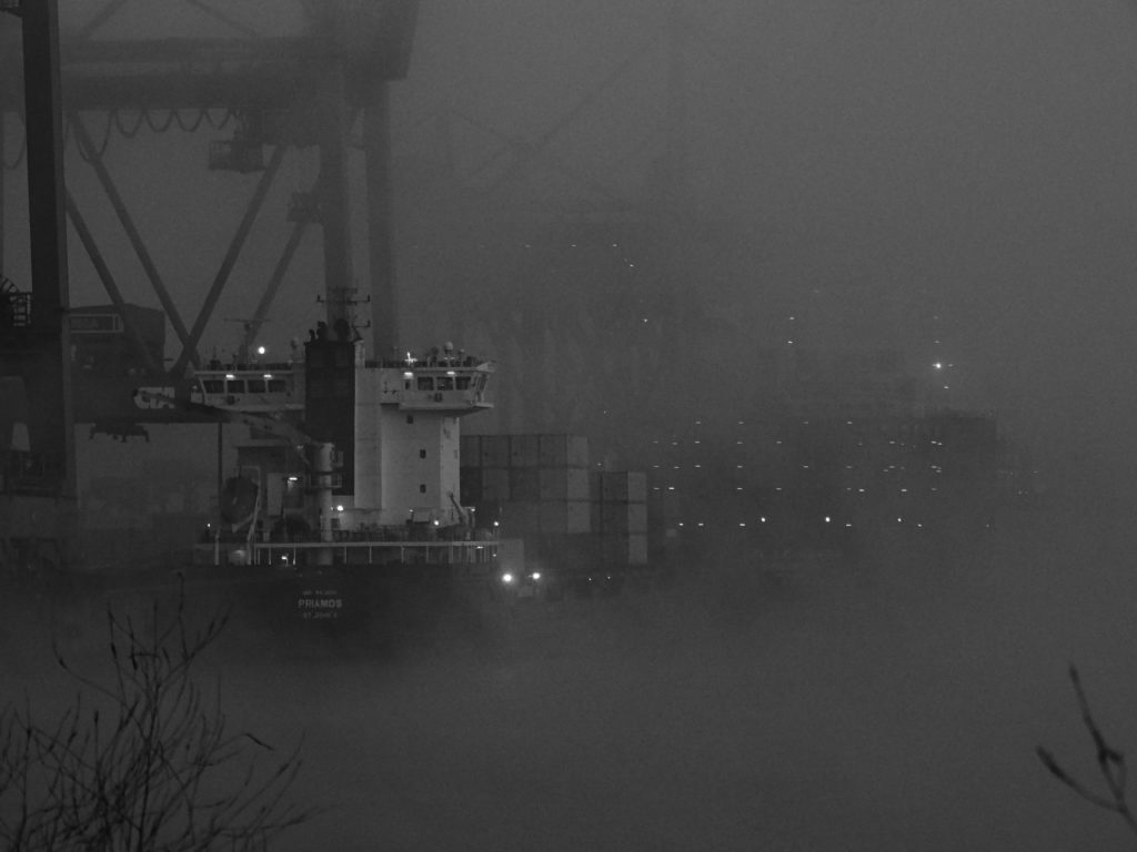 Containerterminal Altenwerder mit Schiff im Nebel