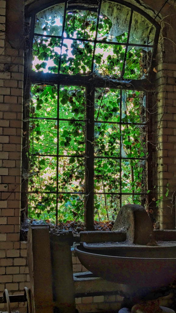 Fenster in den Heilstätten Beelitz