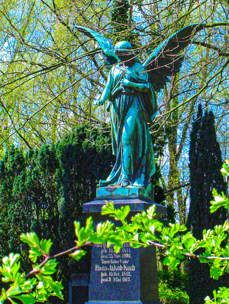 Frühlingserwachen auf dem Friedhof von Altenwerder/Hamburg