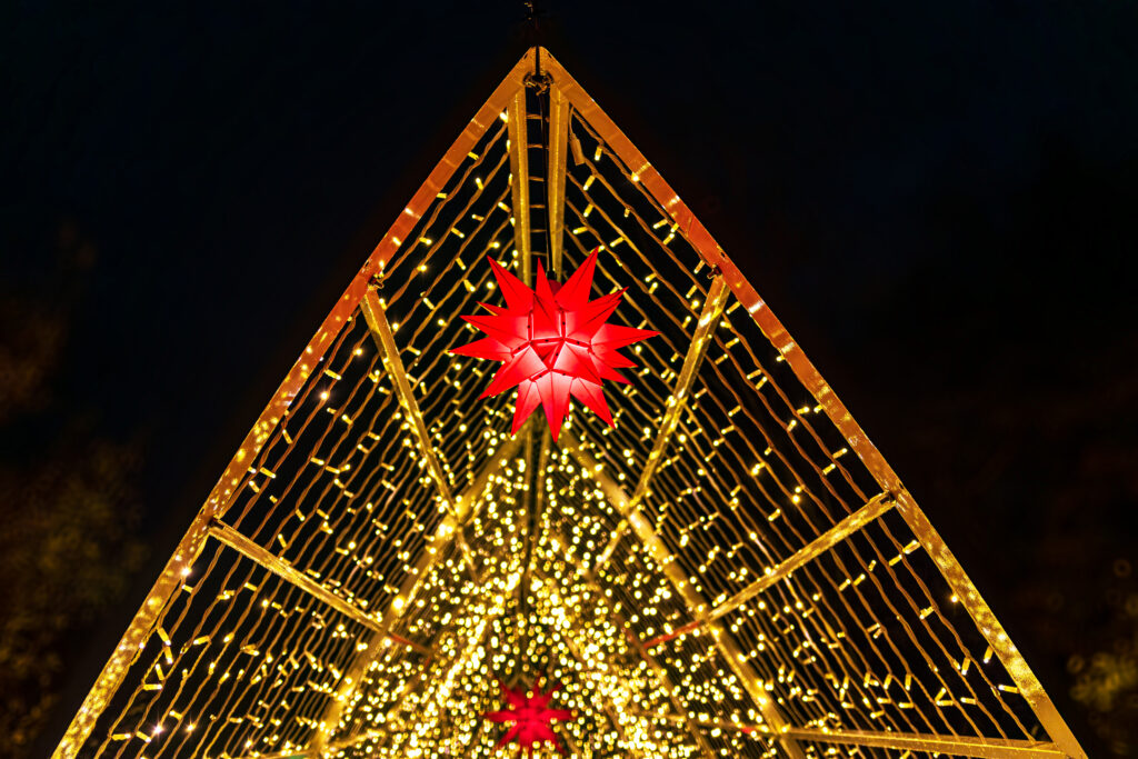 Christmas Garden im Loki-Schmidt-Park: Lichtkathedrale